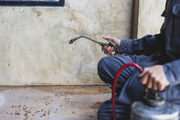 Best Commercial Pest Control Services  in Verde Village, AZ